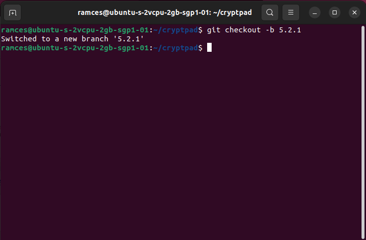 A terminal window showing a git branch switch.