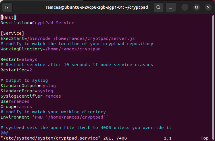 A terminal window showing a systemd service template.