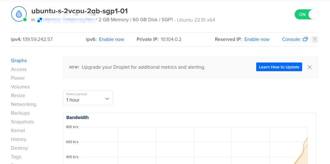 A window showing the Digitalocean droplet's information.