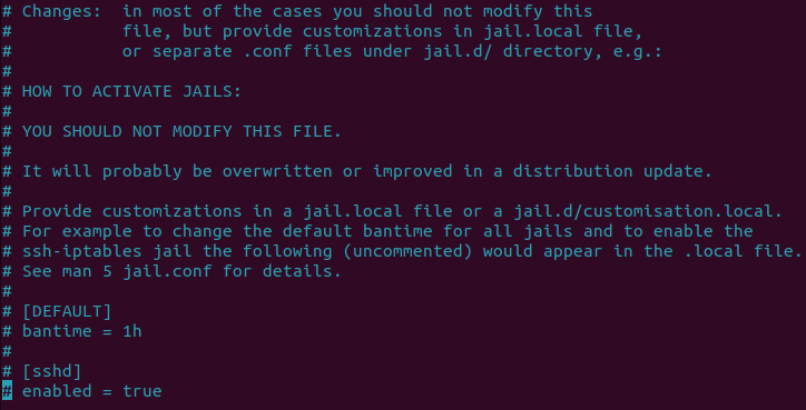 A section of a terminal showing the comments on the jail.local file.