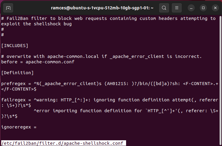 A terminal window showing a sample filter file.