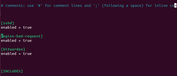 A terminal section that shows all the enabled filter services.