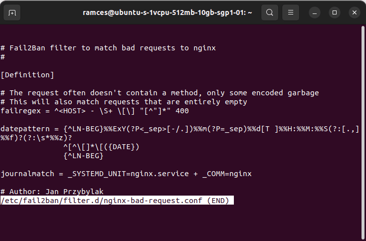 A terminal window showing the bad request filter.