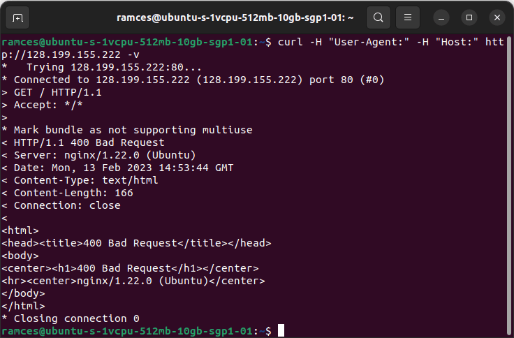 A terminal window showing a simple bad request.