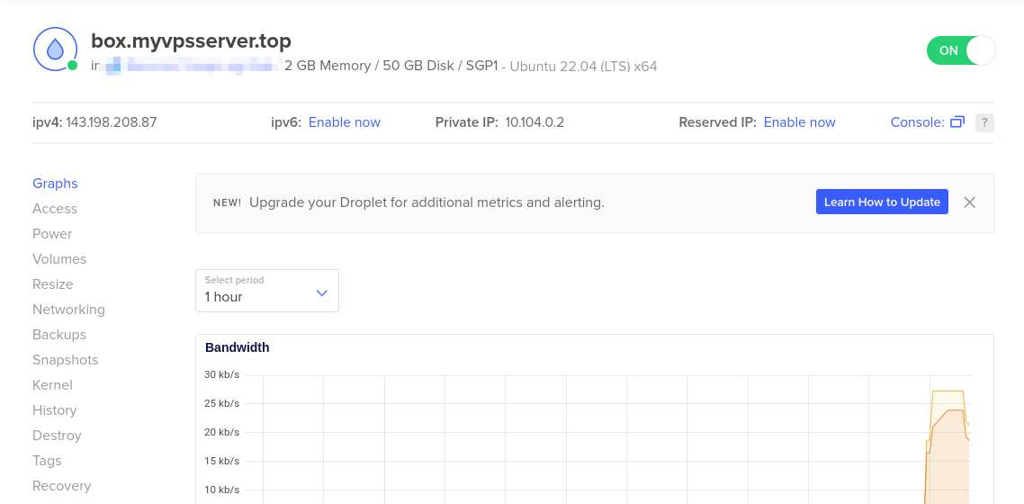 A screenshot of a Digitalocean droplet summary screen.