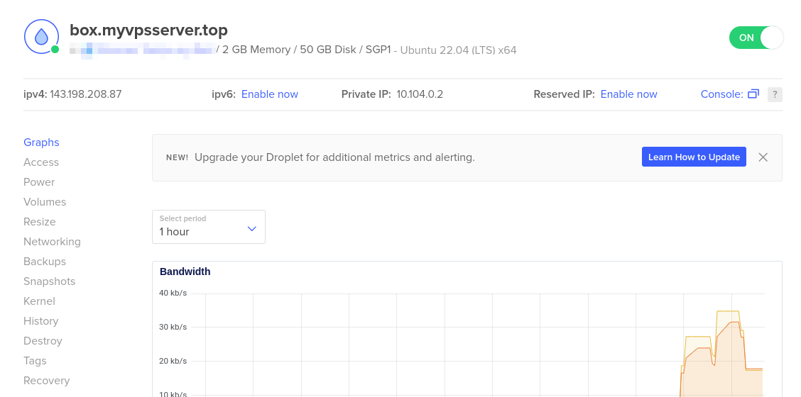A screenshot of a Digitalocean droplet.