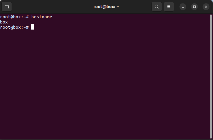 A terminal window showing the current system hostname.