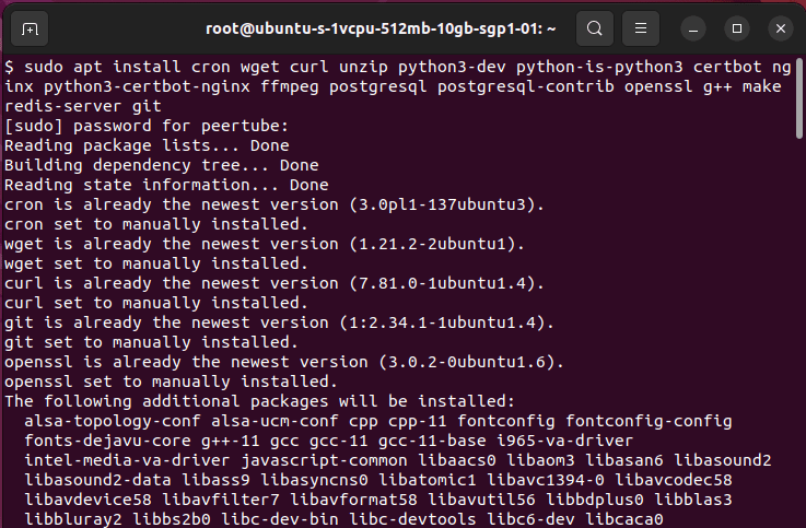 A terminal window showing the installation process for Peertube's dependencies.