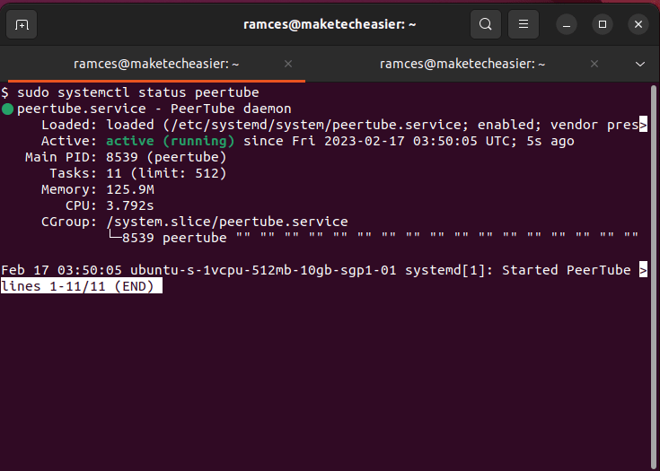 A terminal window that shows that Peertube is currently running.