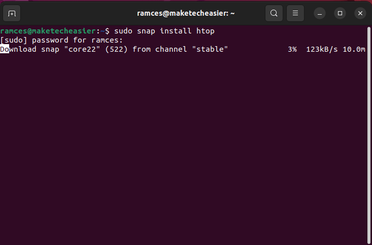 A terminal window showing a snap package installation.
