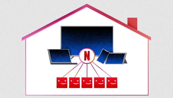 Netflix Password Accounts