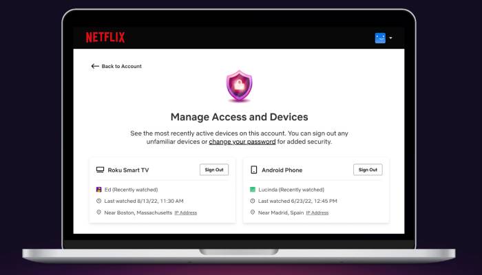 Netflix Password Manage