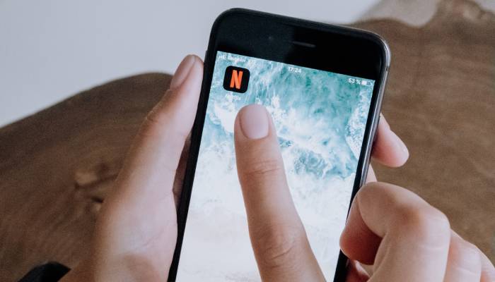 Netflix Password Travel