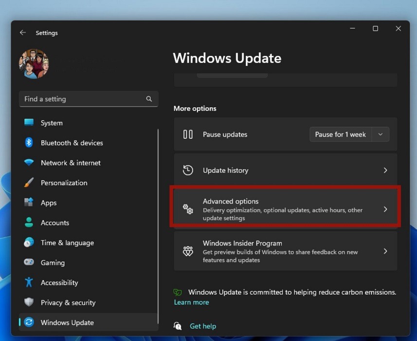 Advanced Options in Windows Settings.