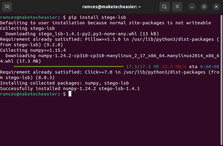 A terminal window showing the installation process for wavsteg.