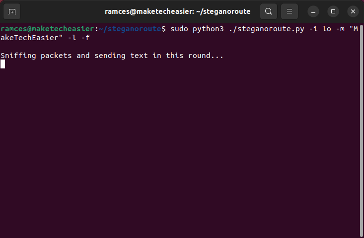 A terminal window showing steganoroute broadcasting a message.