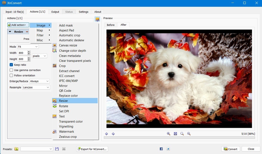 XnConvert Batch resizing ten photos. 