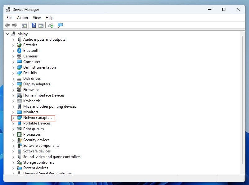 Network adapter option under Device Manager.