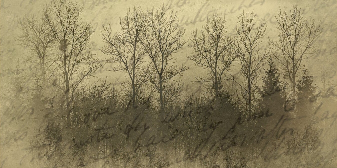 Document with a background