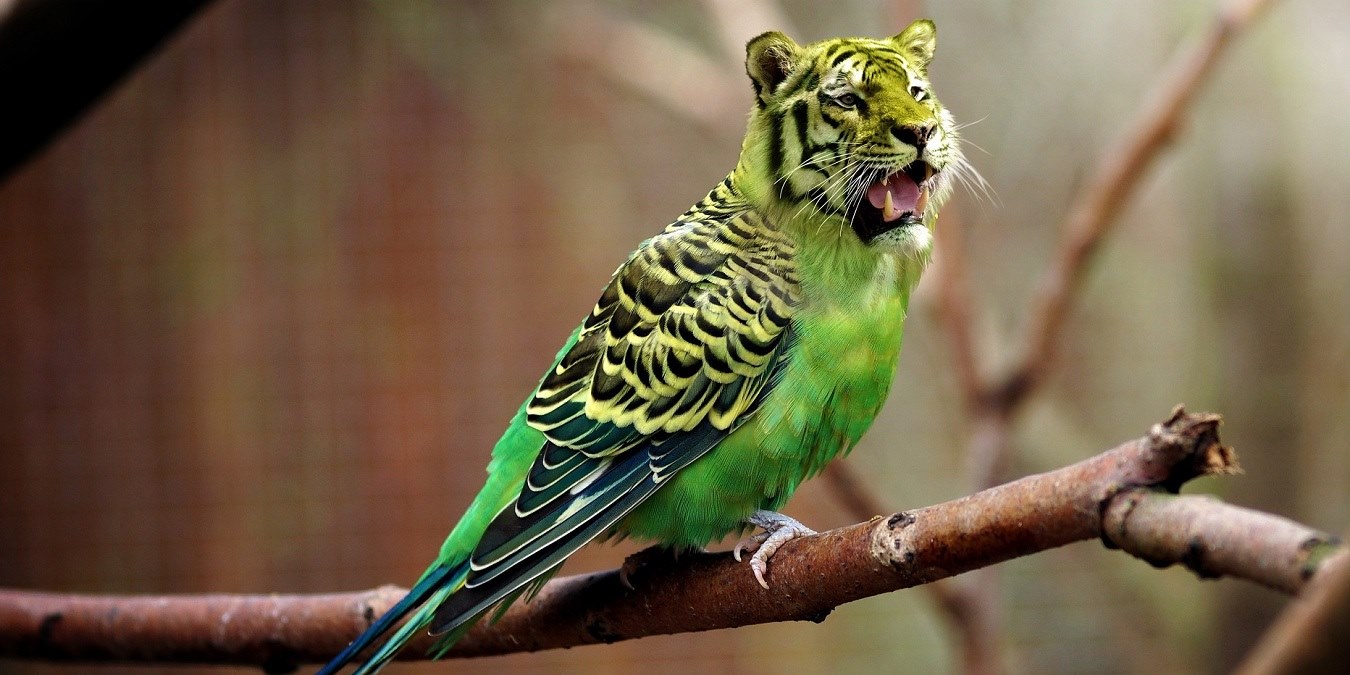 Featured Image Best Batch Editing Software Windows