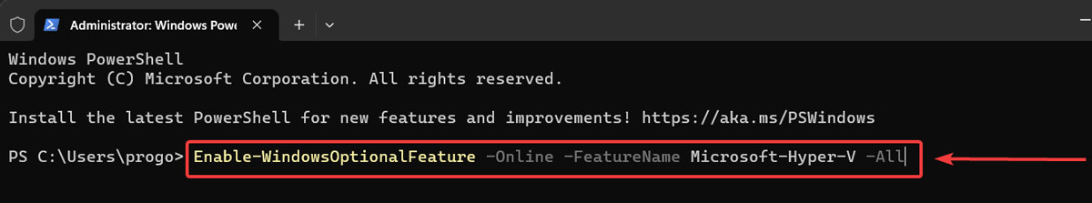 Executing command in PowerShell. 