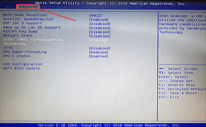 "Advanced" tab view in BIOS.