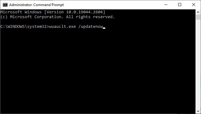 Command Prompt executing a command. 