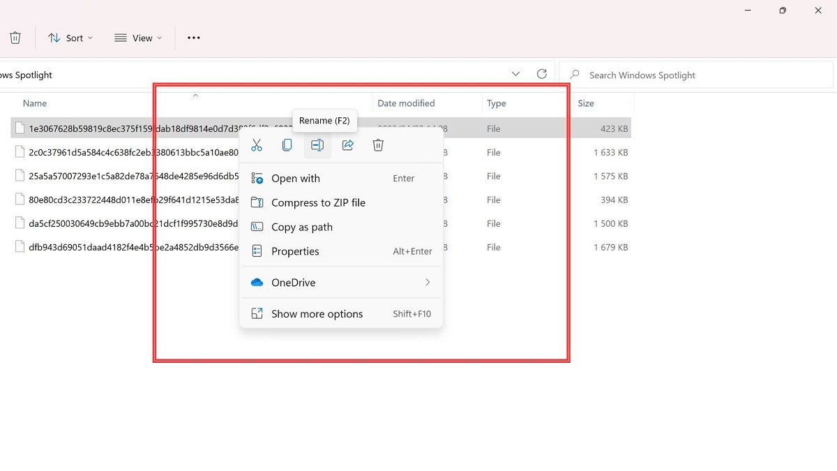 Changing extension for files in File Explorer.