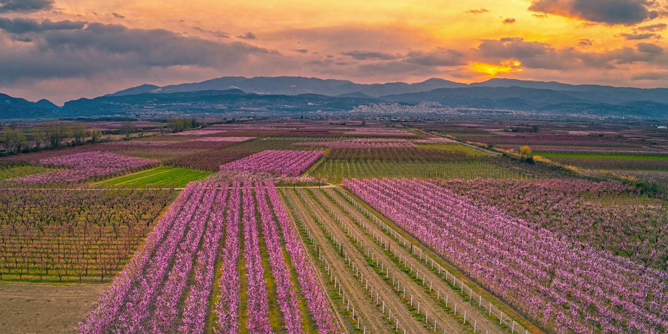 Windows Spotlight Hero