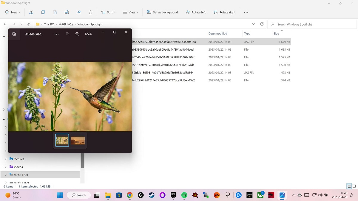 Opening image with image viewer in Windows. 