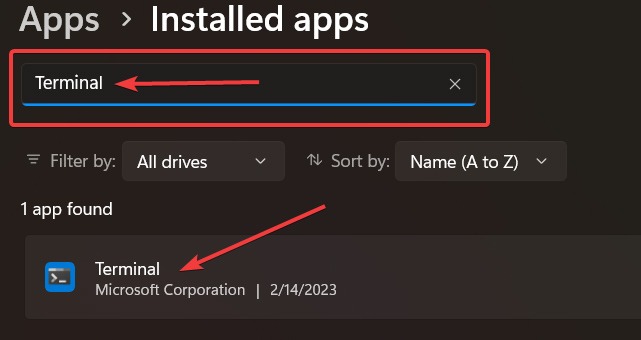 Searching for the Terminal app.