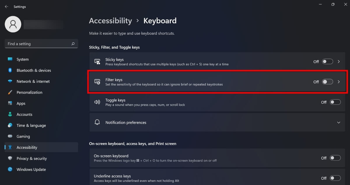Navigating to "Filter keys" under Keyboard in Windows. 