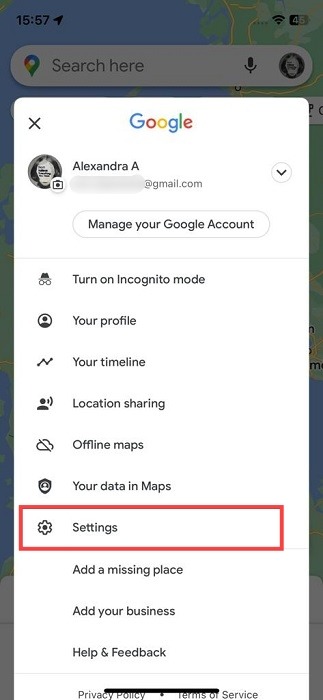 Opting for the Settings option in Google Maps for iOS. 