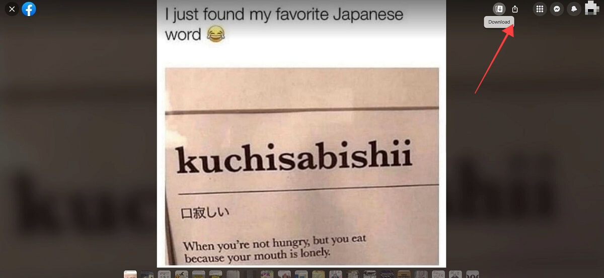 "Download" button for image on Facebook Messenger on web. 