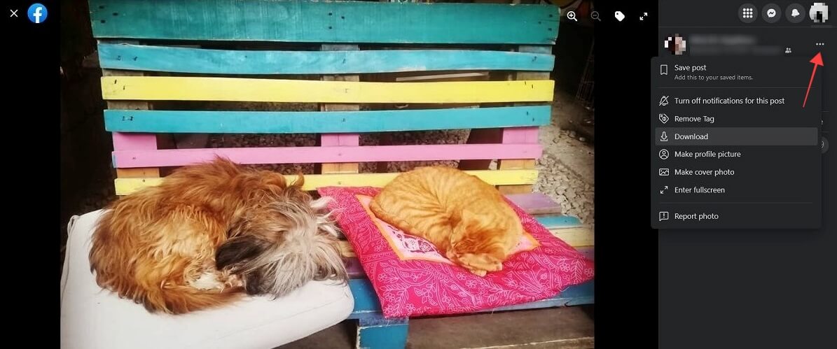 "Download" option for individual images on Facebook for web.