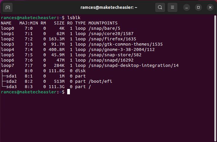 A terminal window showing all the disks attached to the machine.