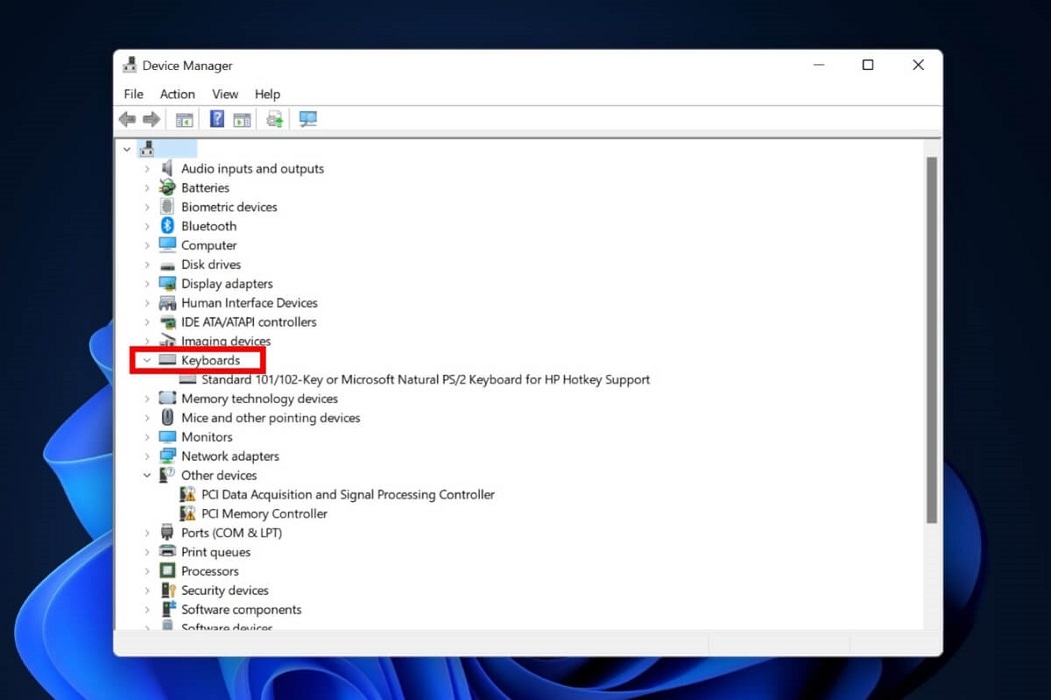Expanding "Keyboards" option in Device Manager.
