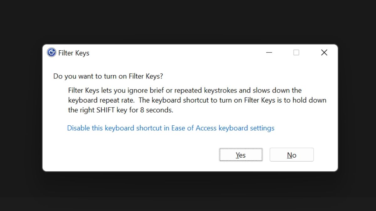 Filter Keys disable pop-up. 