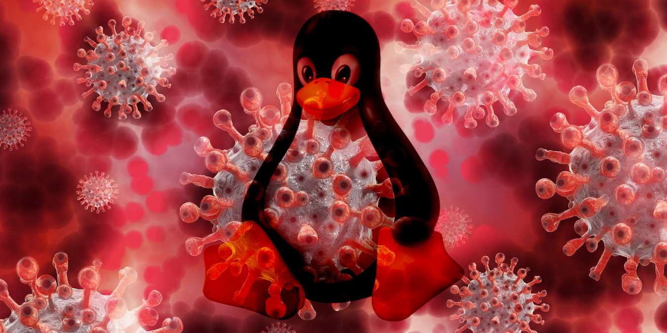 How to Remove Windows Viruses with Linux