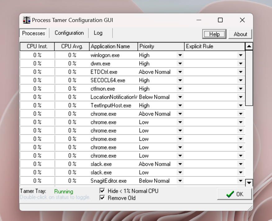 Process Tamer program interface overview. 