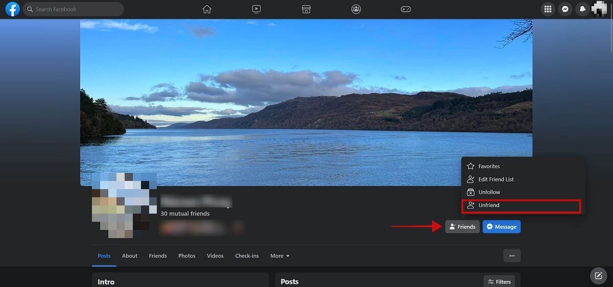 "Friends" button on Facebook user profile with "Unfriend" option.