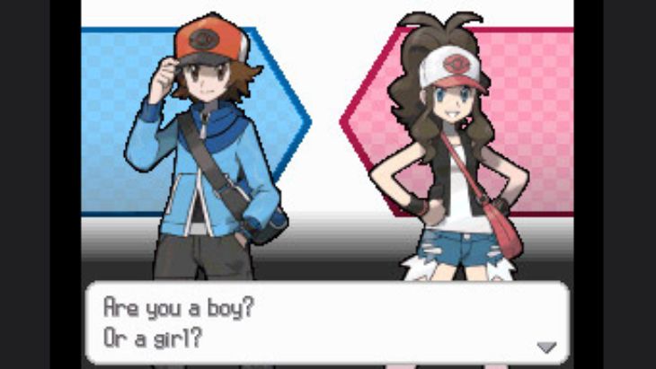 Pokemon Black & White in-game image.