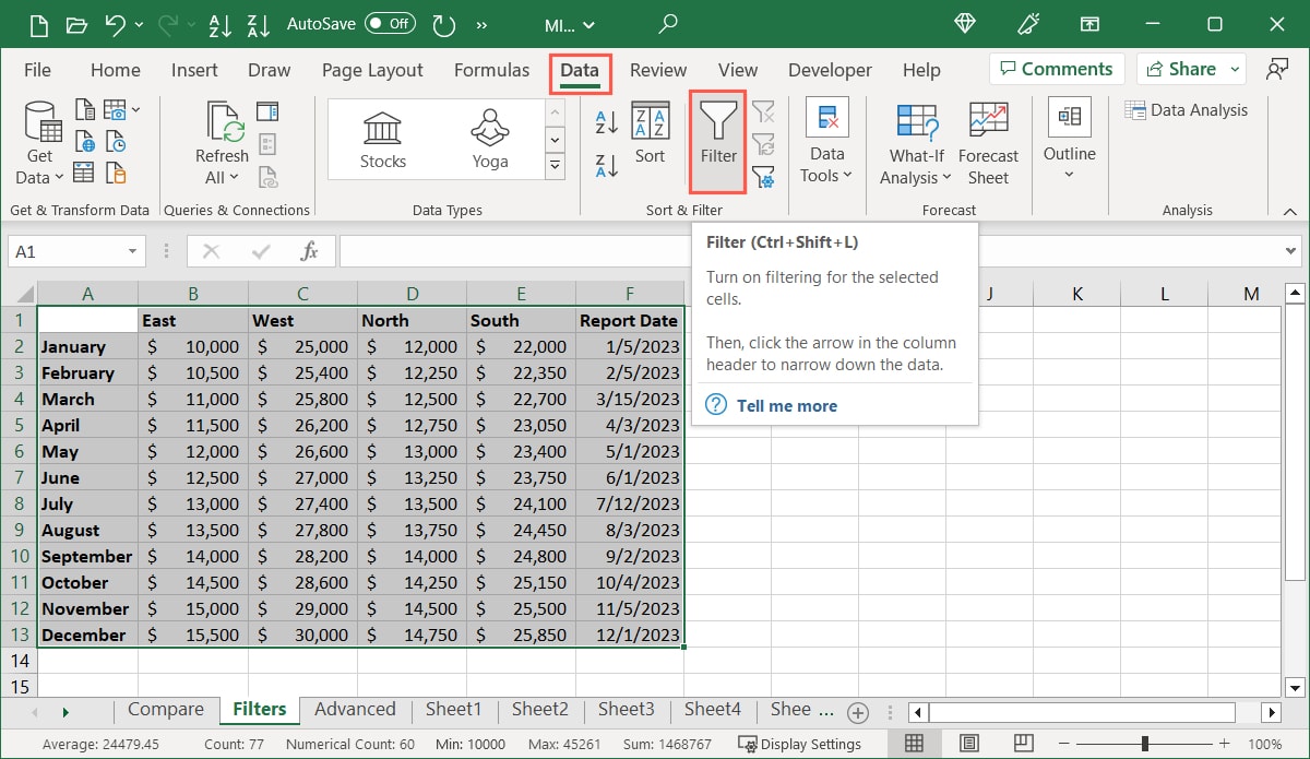 Filter on the Data tab in Excel