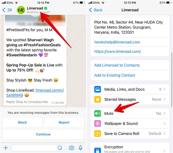 Iphone Whatsapp Mute