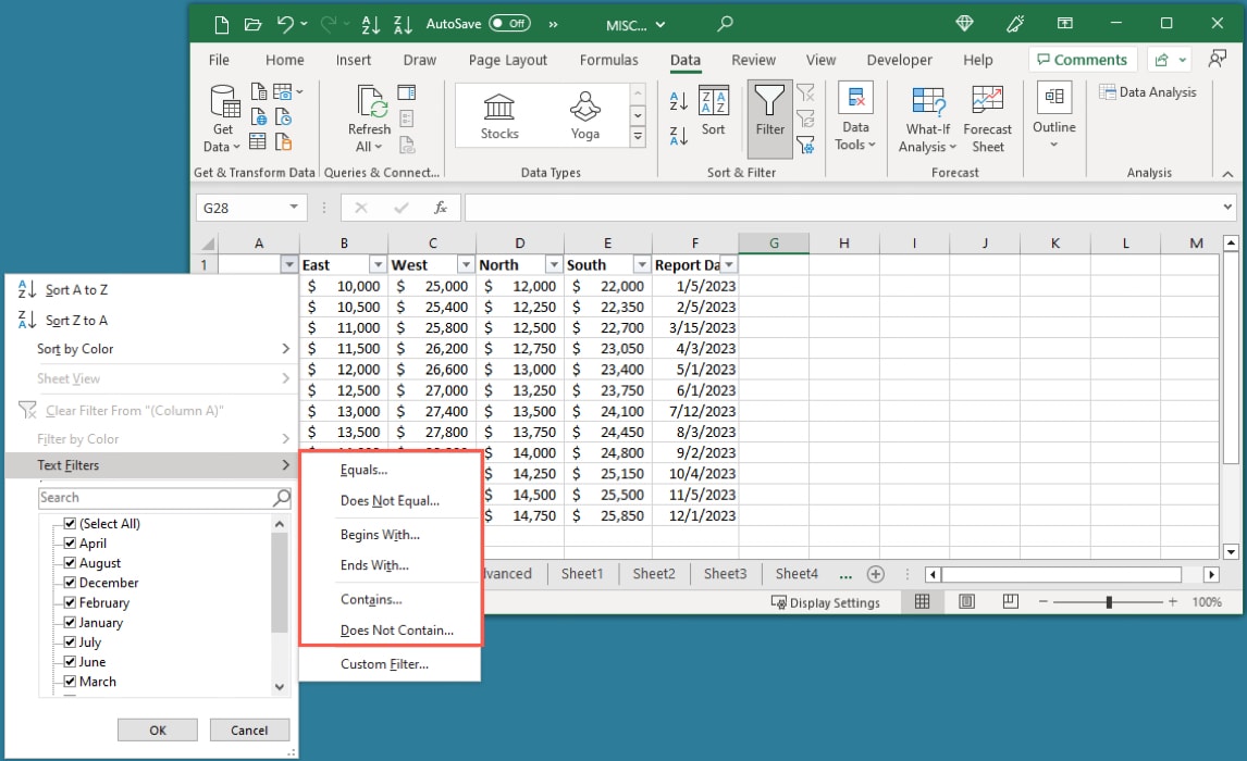 Text Filters in Excel