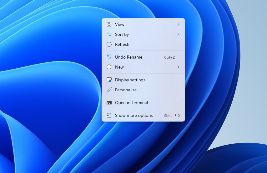 Context menu with "Show more options" visible in Windows 11.