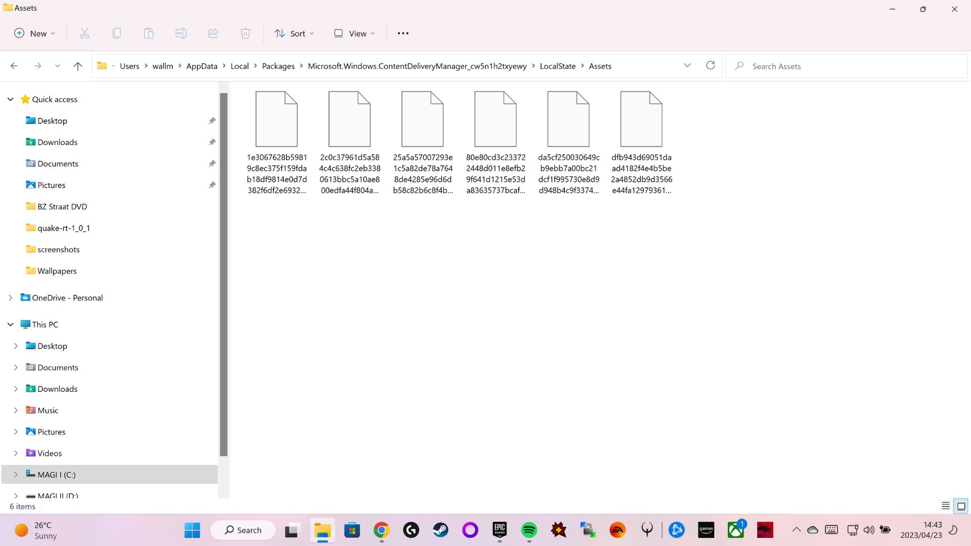 Accessing hidden "Assets" folder via File Explorer.