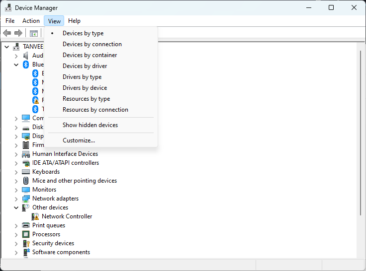 Clicking on "Show hidden devices" in Device Manager.