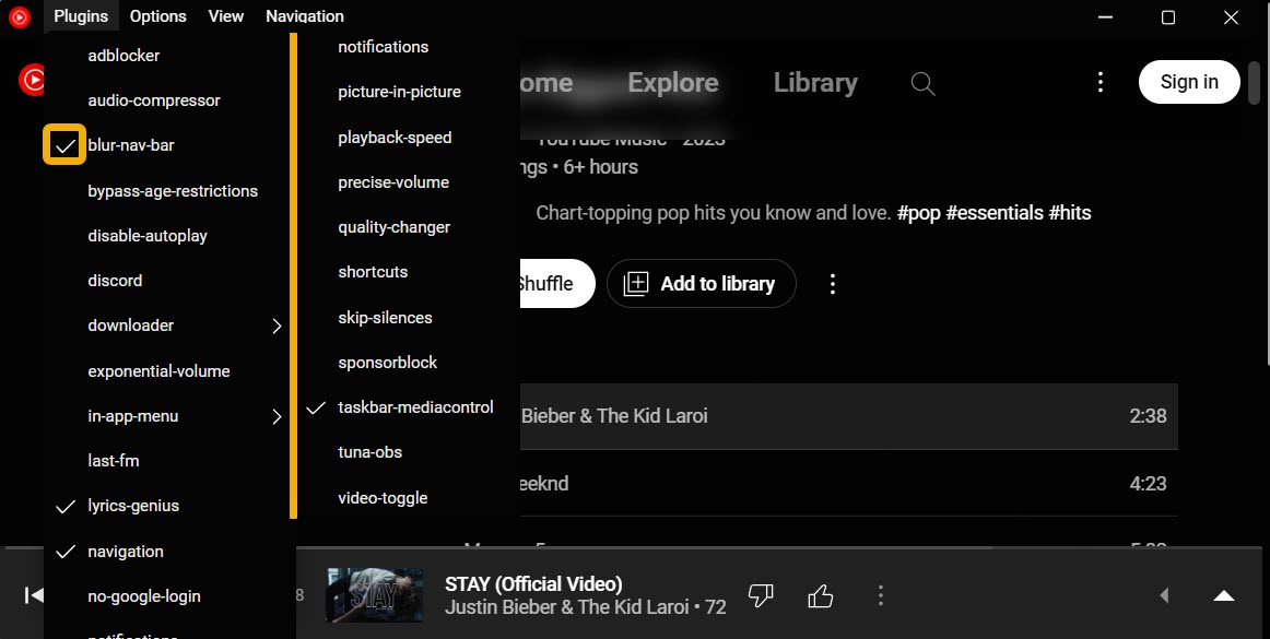 YouTube Music Desktop App plugin options view. 