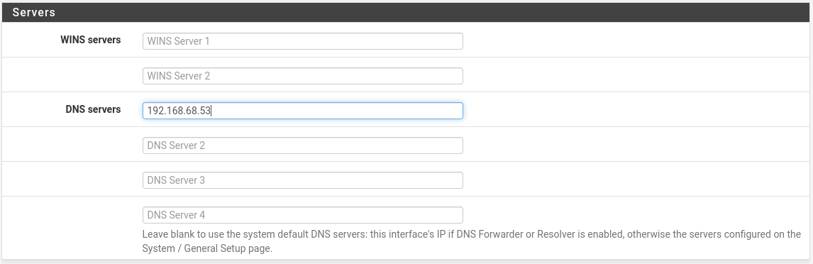 pi-hole-dns-server-settings A screenshot of a router's DNS configuration page.